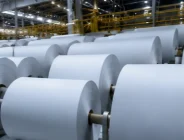 Papel e Celulose